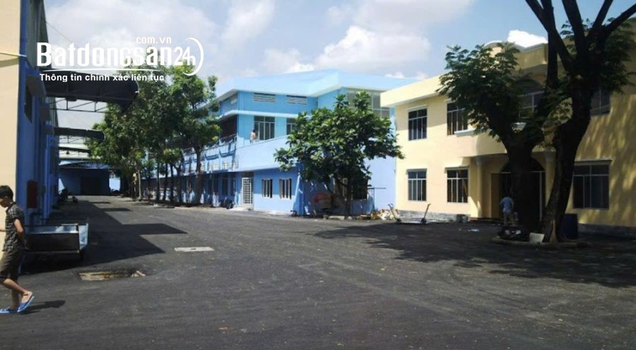 Cho thuê 4800m và 1870m MT đường C12 .ngay đường vào nhà ga T3 sân bay Tân Sơn Nhất.